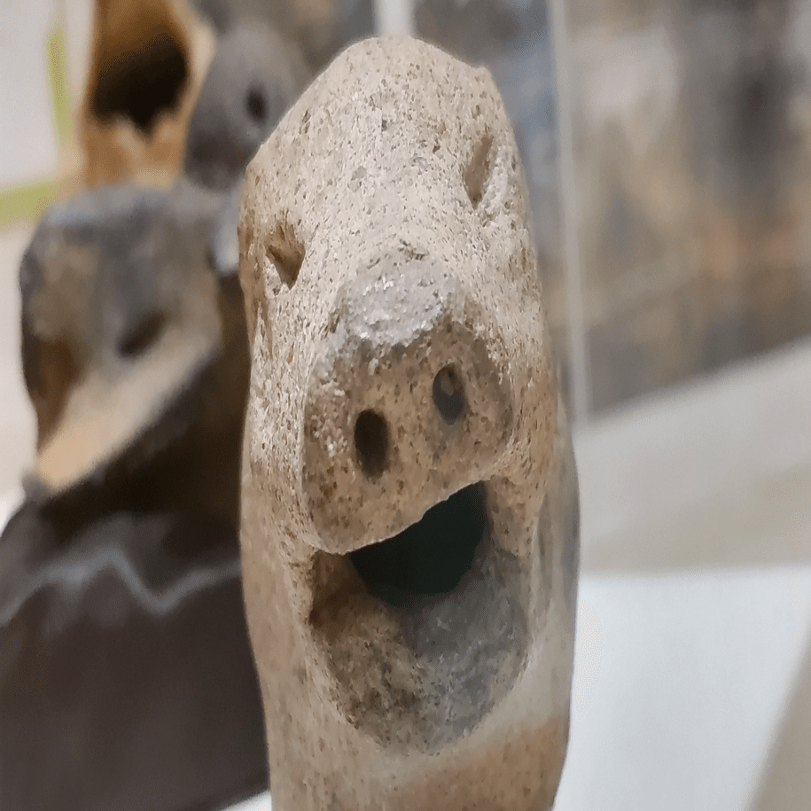 縄文人の胃袋を掴んだ！？幸せを運ぶイノシシたち｜のんてり