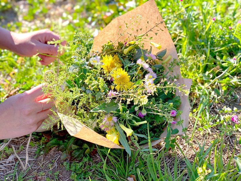 実践レポート 花屋は雑草をブーケにできるか Juneray Note 実践レポート 花屋は雑草をブーケにできるか Juneray Note