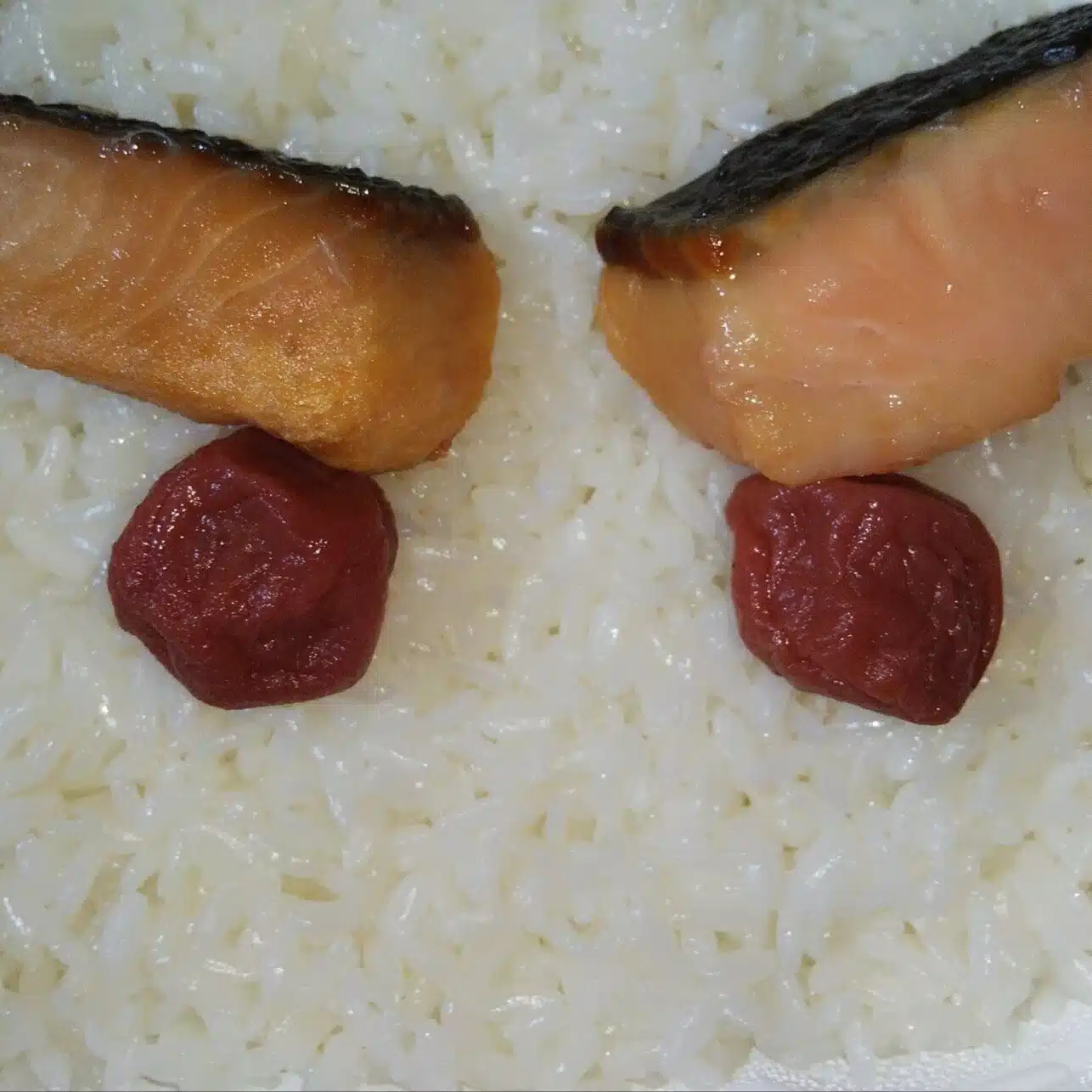 御膳記録