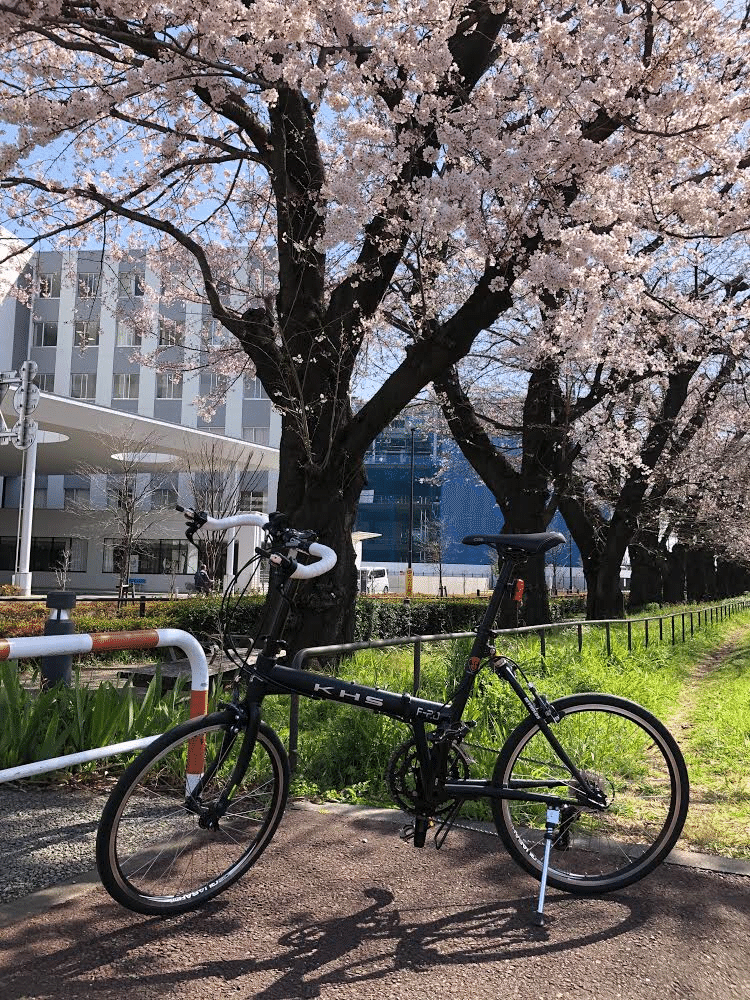 三連休の中日、一番気候が良さそうだったので、親父の墓参りを兼ねて、冬の間封印していたジュゼッペ号発進！