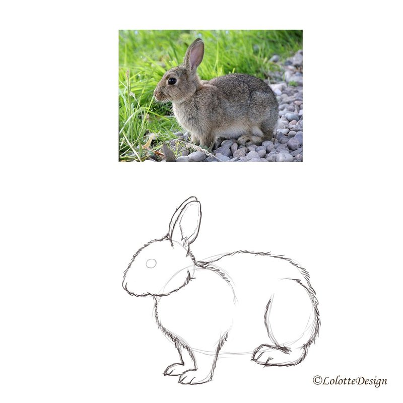ダウンロード済み うさぎ イラスト 書き方 千枚の写真とコレクション ダウンロード済み うさぎ イラスト 書き方 千枚の写真とコレクション
