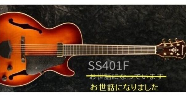 Morris モーリス　W-30 アコースティック　ギター チューナー　ピック Morris モーリス W-30 アコースティック ギター チューナー