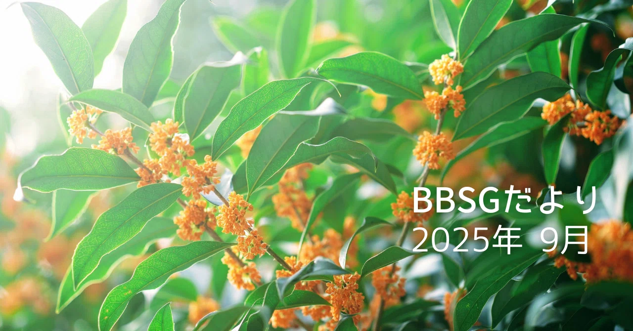 BBSGだより 2025年 9月号｜pee