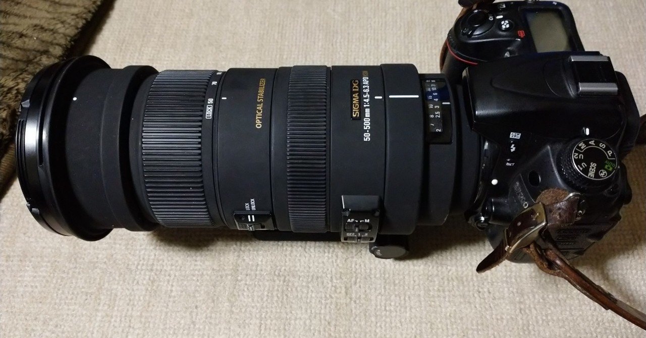 レンズ(ズーム) SIGMA EX 50-500mm F4-6.3 APO HSM Canon 格安レンタル] SIGMA（シグマ） APO 50-500mm F4.5-6.3 DG OS HSM 超
