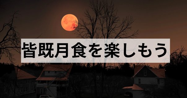 地球は丸い 〜アリストテレスの見た皆既月食〜｜星のソムリエ
