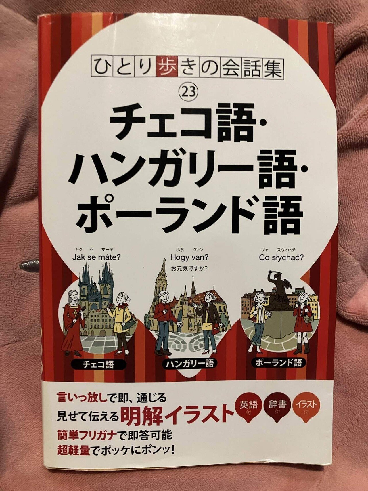 9冊 ポーランド語文法 ポーランド語勉強 ポーランド 本 安い 人気 学習