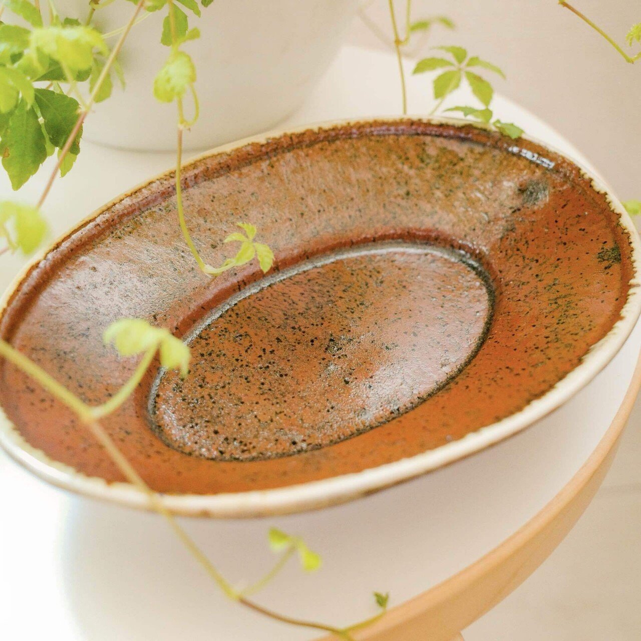 今週のお買い物】器が辿ってきた旅路を想像しながら。｜むささび｜musasabi