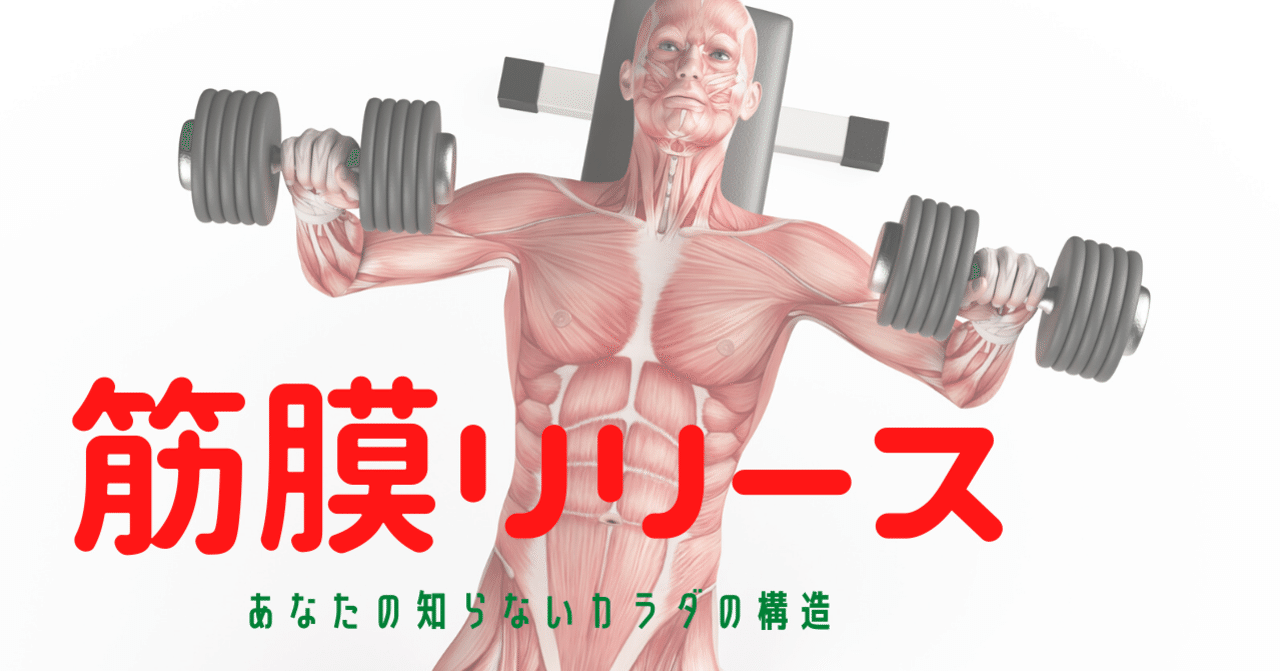 90分2万円の筋膜リリースを受けてきた。｜鷹ノ目（進撃の巨人好き）