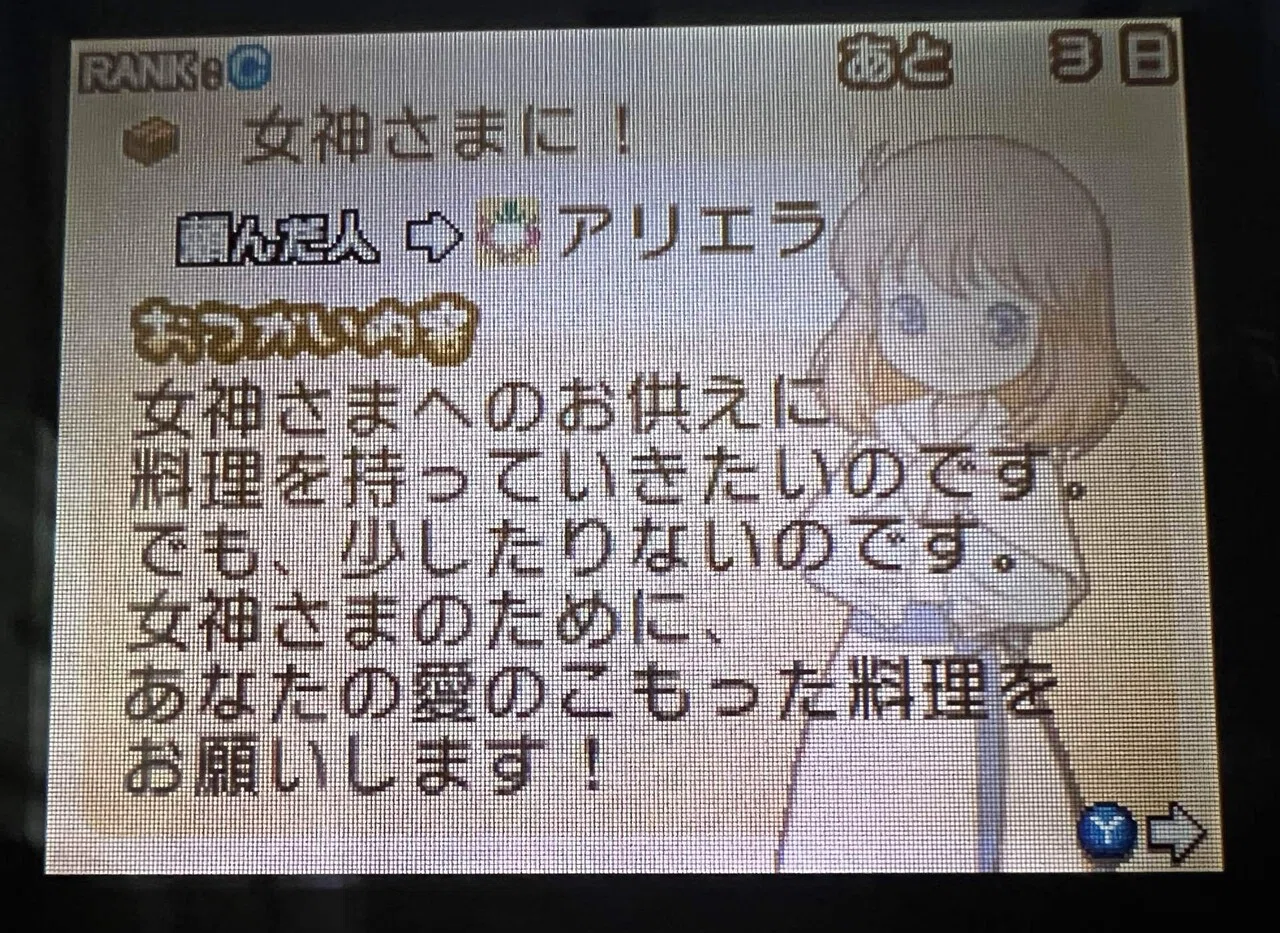 DS牧場物語ふたごの村アリエラとの結婚生活記｜Piyopiyo Wyvern