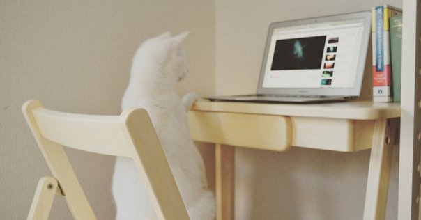 歯科医療従事者が必ず読むべき論文1｜NPO法人「科学的なむし歯