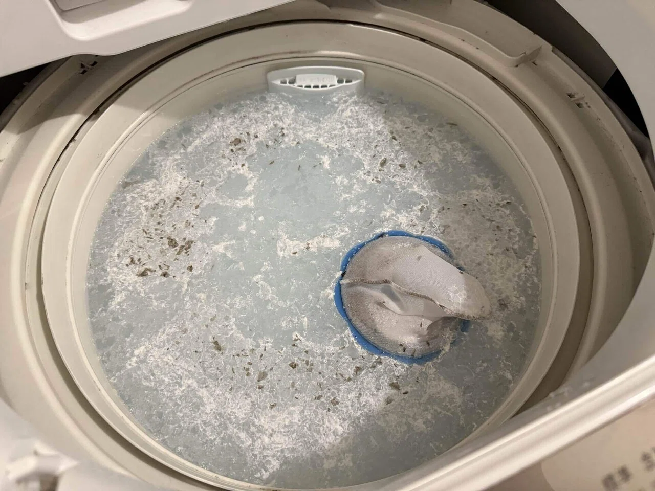 ピロピロワカメ大量発生！？洗濯槽が想像以上に汚れてた｜むーん🌙あ