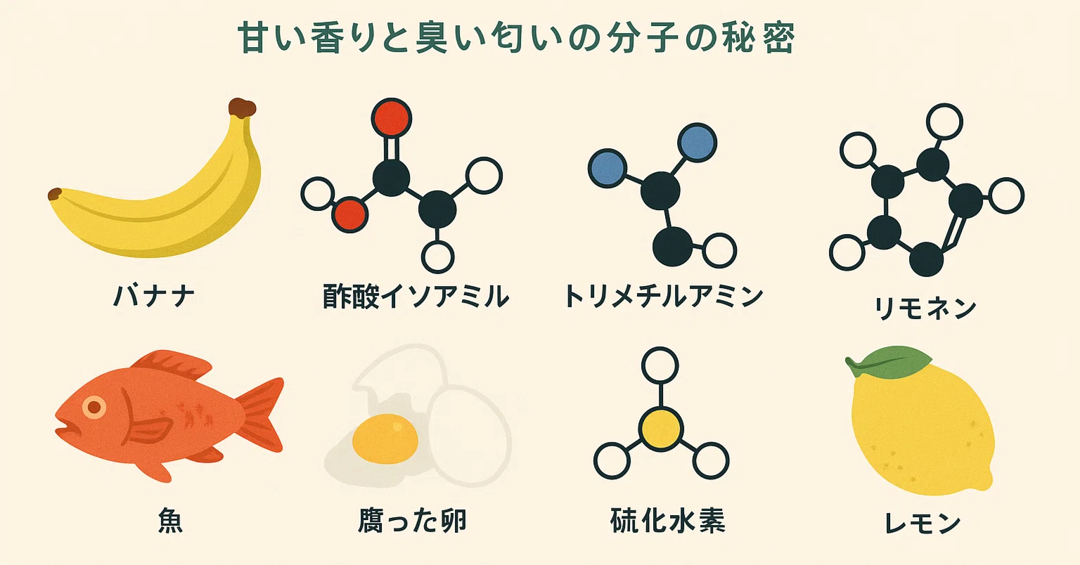 においの化学｜Gelate（ジェレイト）
