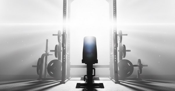 2年間VR筋トレして、買ってよかった筋トレグッズ3選｜ずんだもちな