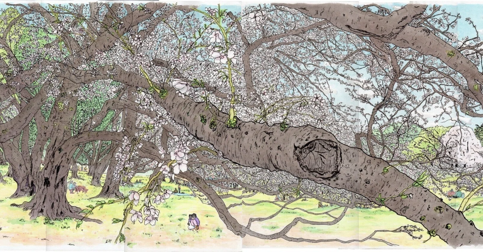 私のスケッチポイント／作品紹介あれこれ＞世田谷区・都立砧公園の
