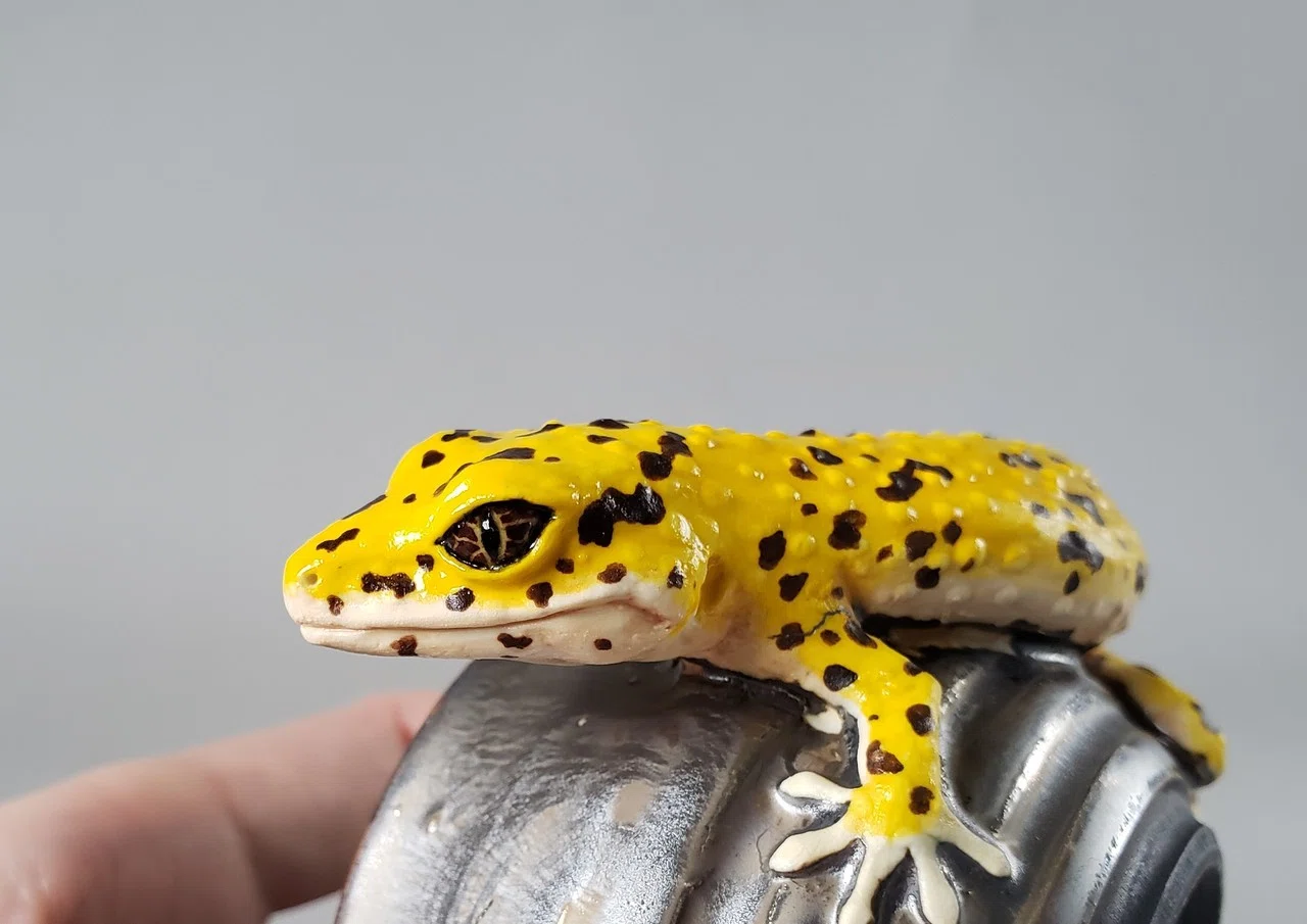 陶芸作家・腰越祐貴 リアル過ぎない生き物ワールドの魅力。｜BANZAI