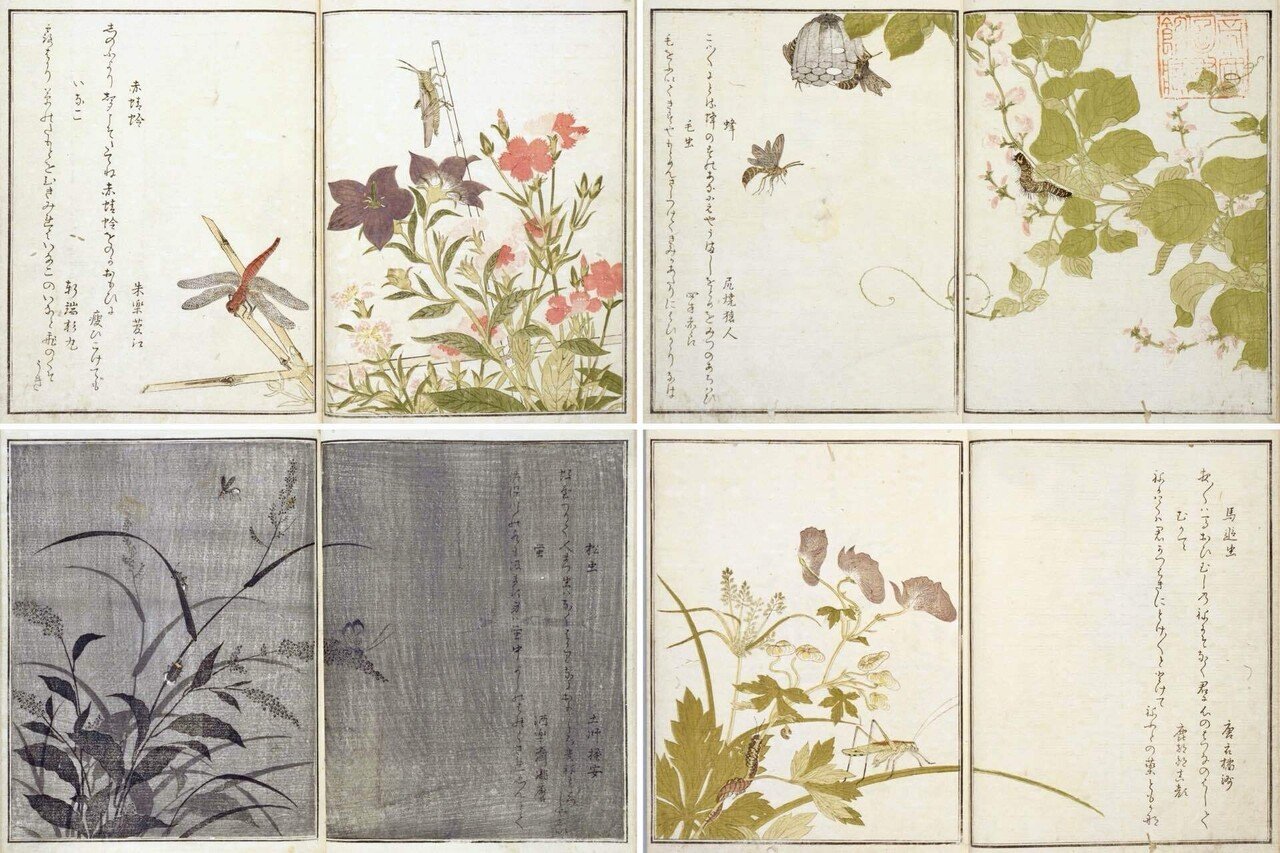 江戸狂歌ばなし──天明狂歌のざわめき ｜ 喜多川歌麿 【 画本虫撰