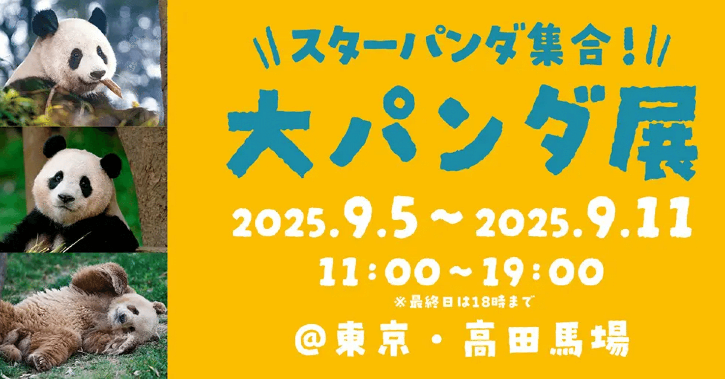 韓国生まれのおてんば姫 熊猫フーバオ』出版記念！「大パンダ展」が