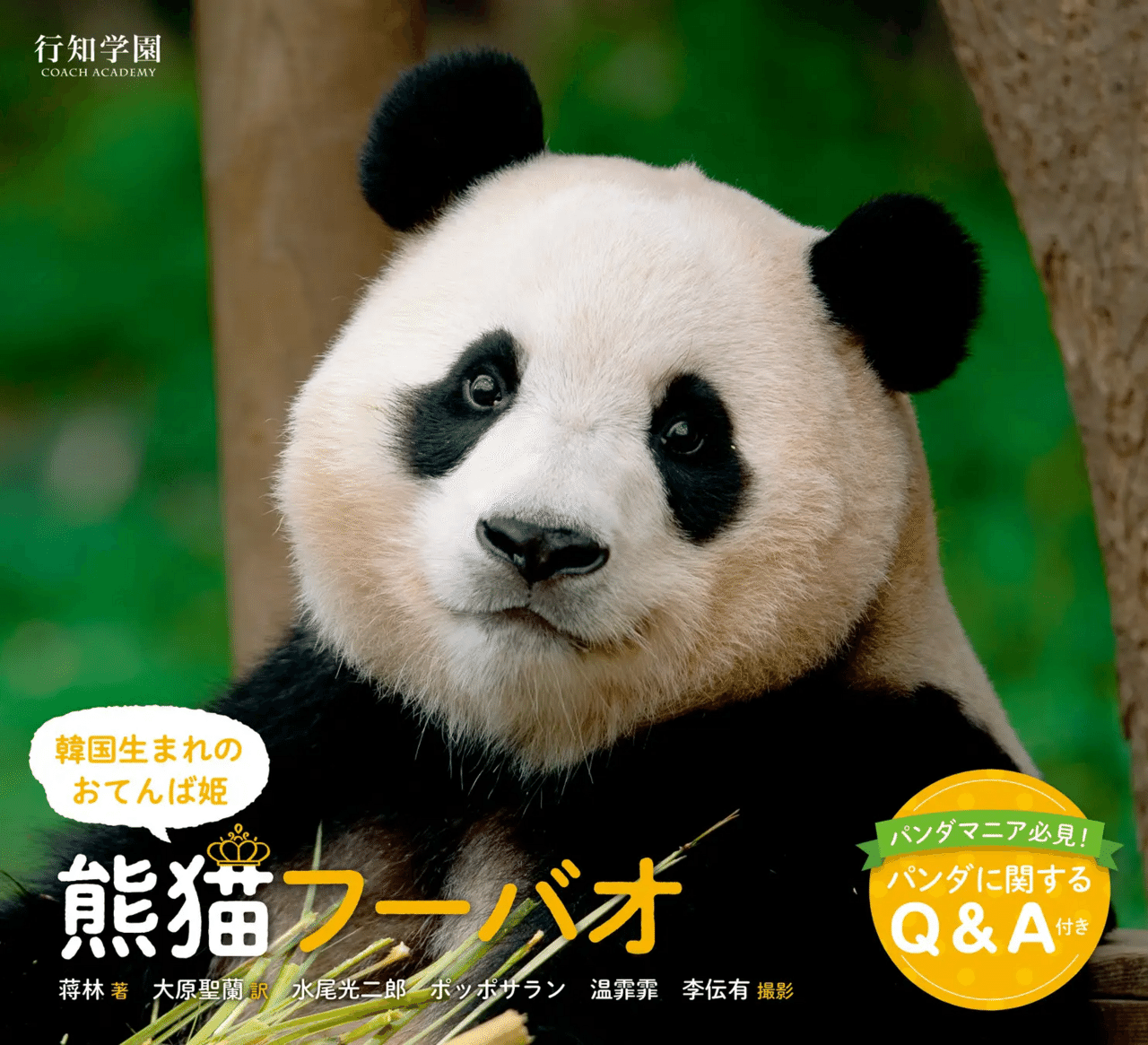 1円【ジャンク】 国宝大熊猫 記念大全集 パンダコイン 【75】 | Yahoo!オークション 泰