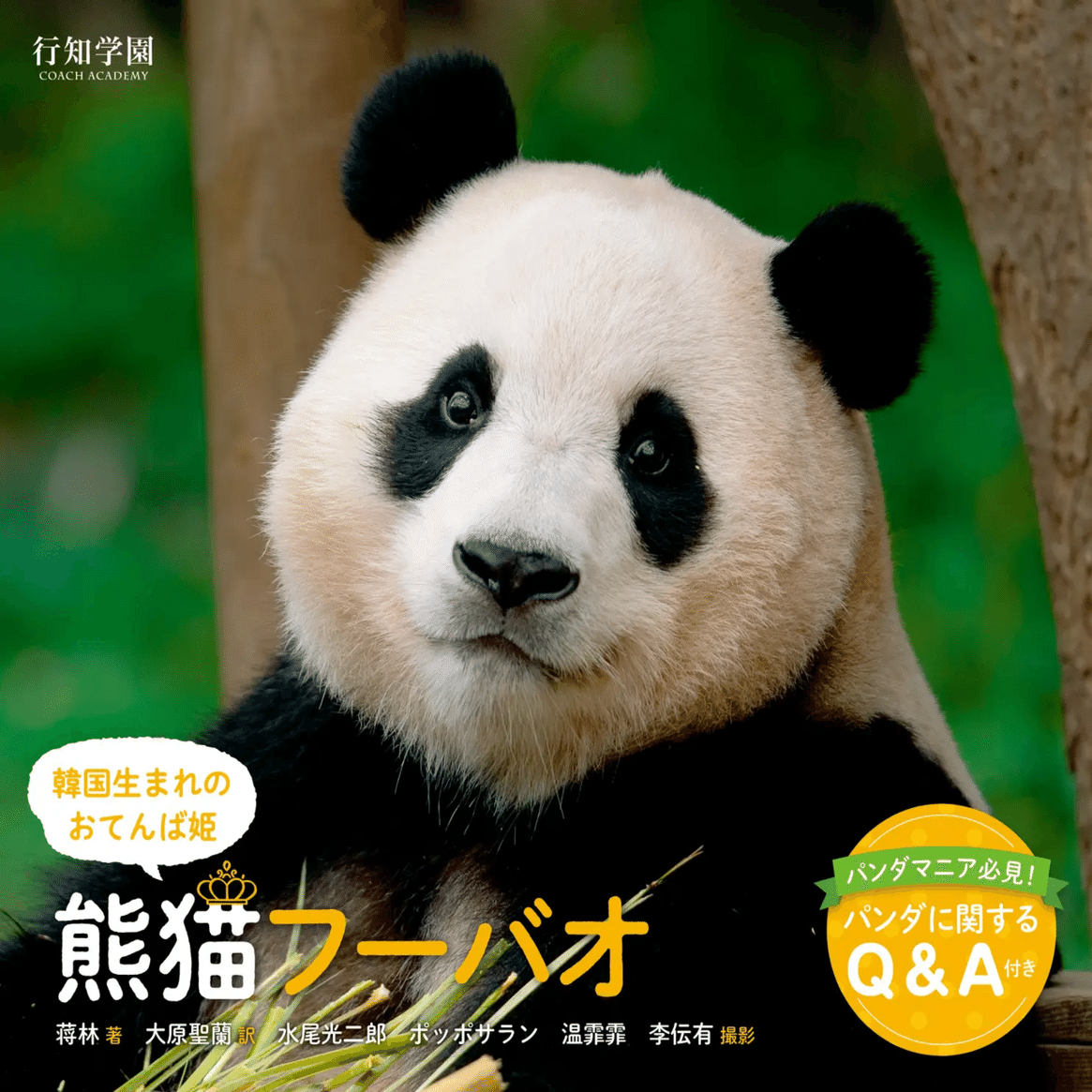 韓国生まれのおてんば姫 熊猫フーバオ』出版記念！「大パンダ展」が
