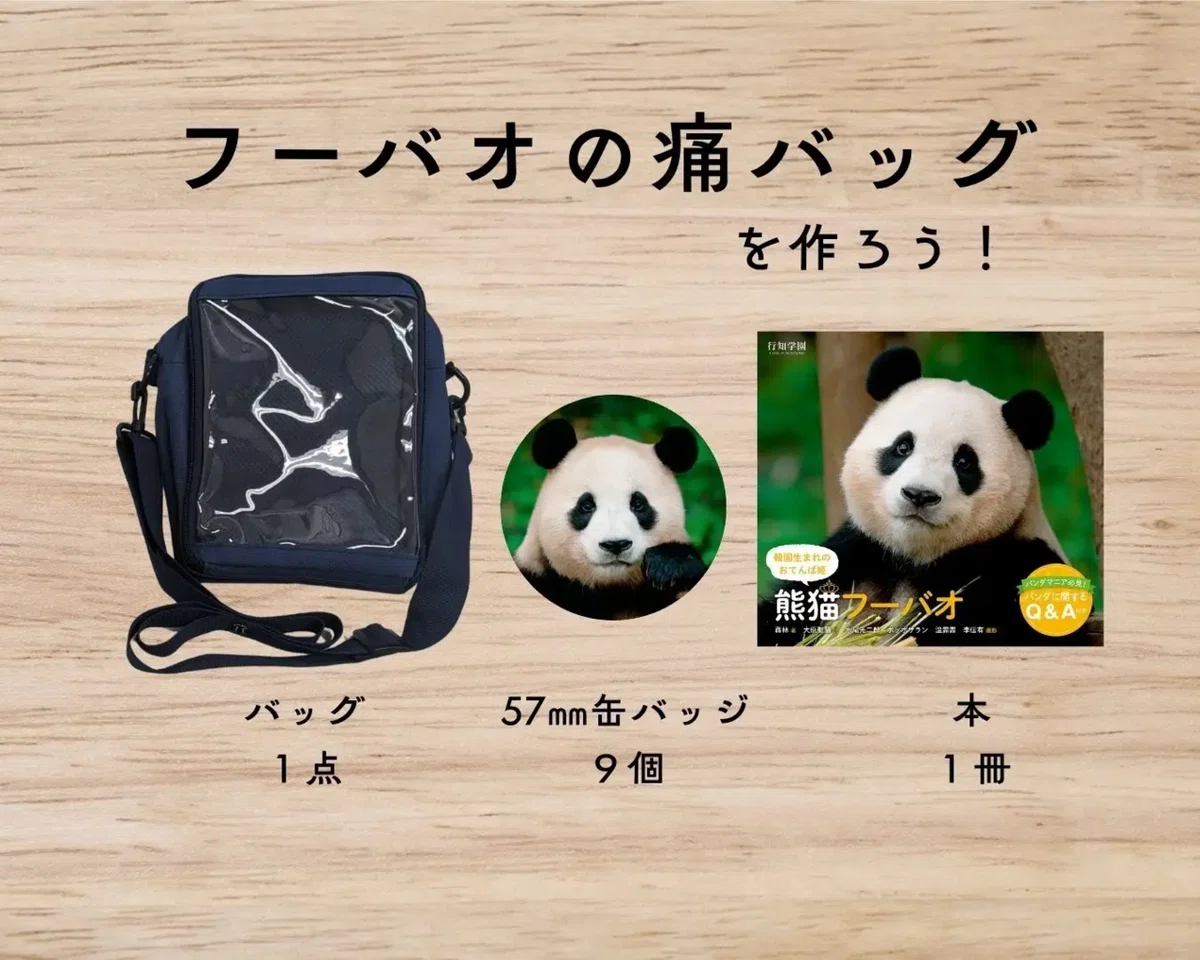 韓国生まれのおてんば姫 熊猫フーバオ』出版記念！「大パンダ展」が