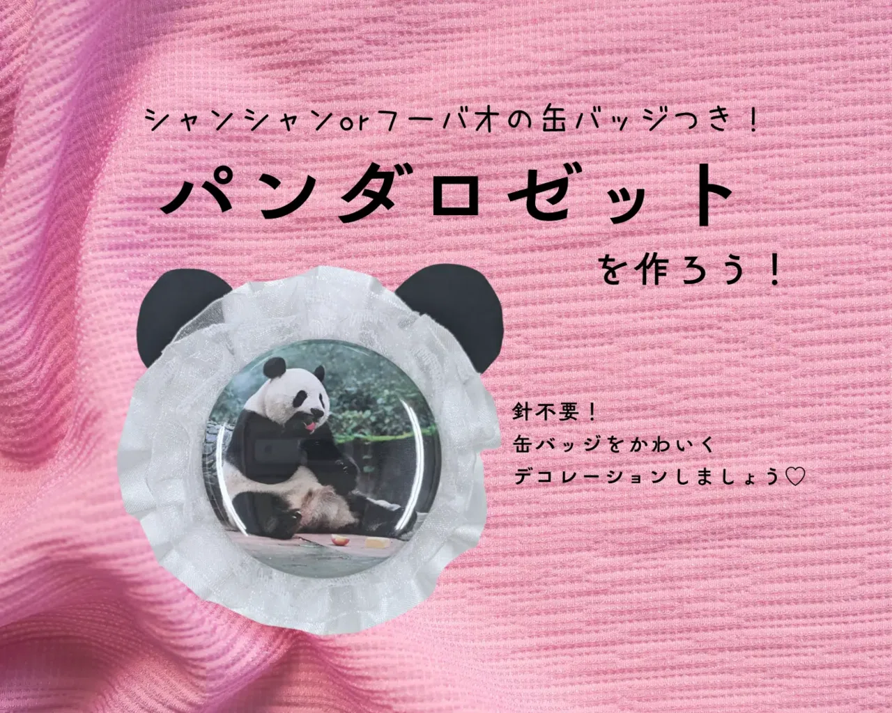 韓国生まれのおてんば姫 熊猫フーバオ』出版記念！「大パンダ展」が