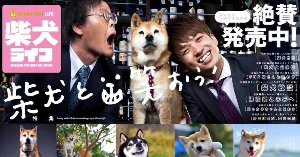 圧倒的な柴犬愛でつくられた雑誌 柴犬ライフ 春号 のダイジェストや見どころを編集長から Kkベストセラーズ