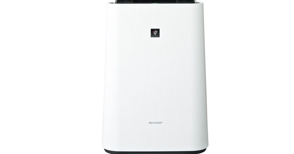 2025年最新】シャープ KC-S50-W レビュー｜花粉も乾燥もこれ1台で解決