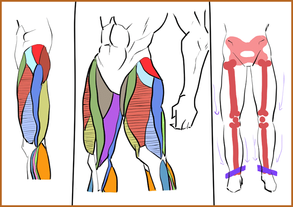 初級コース２ ５ 男性の下半身の筋肉の描き方の練習 常盤 浅葱 Note