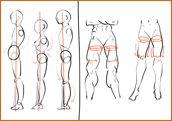 初級コース２ ５ 男性の下半身の筋肉の描き方の練習 ナツメ Note