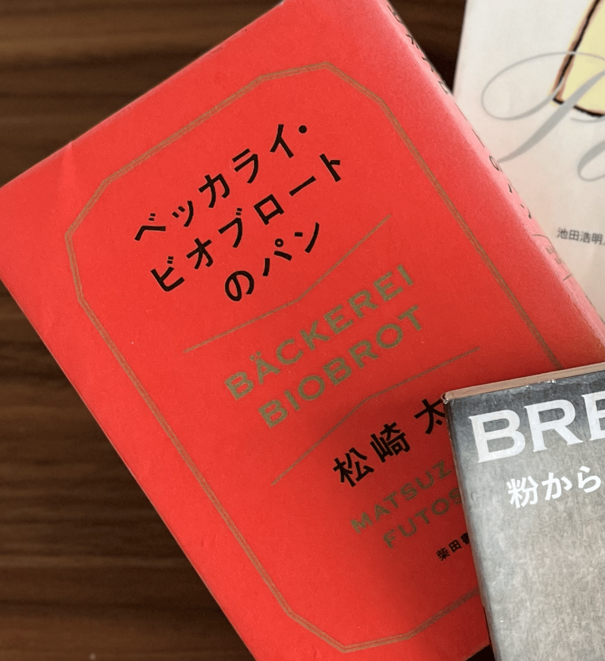 ドイツパン探訪①｜パン好きの夢をドイツで実現してきた話｜oimopan