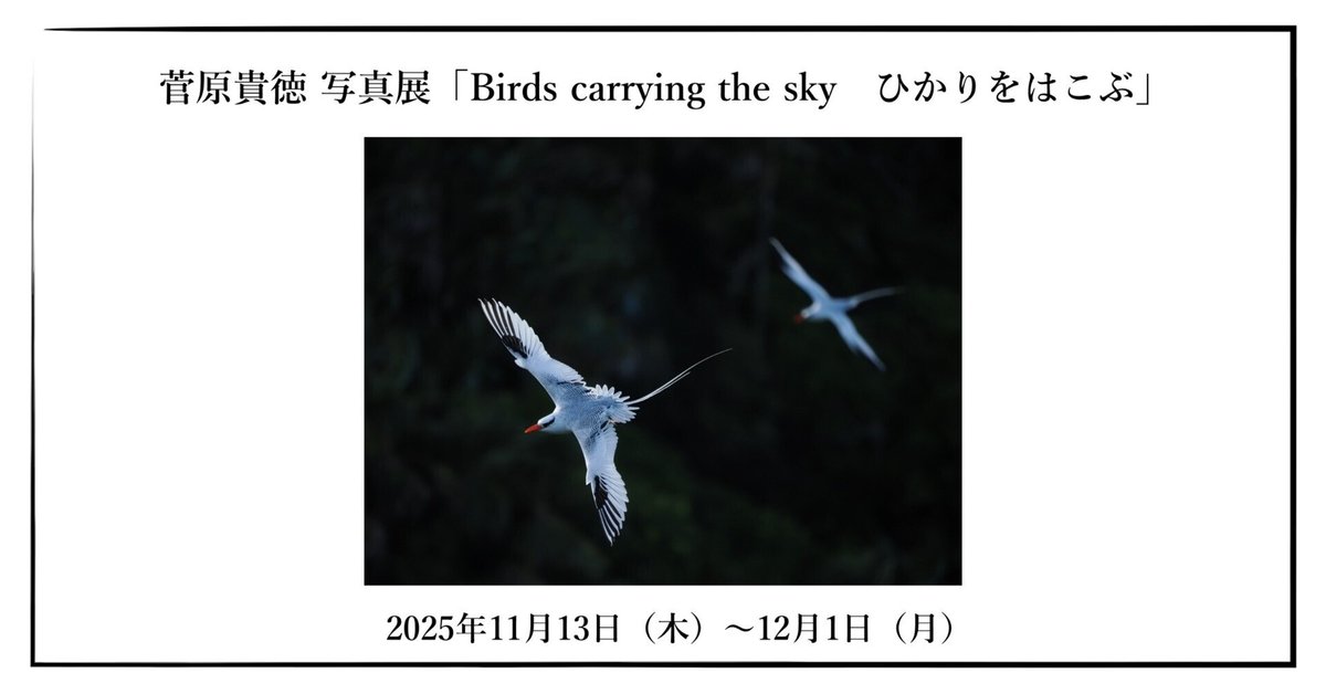唐三彩鳥像（抽像感の丑小鳥像） 唐三彩鳥像（抽像感の丑小鳥像）