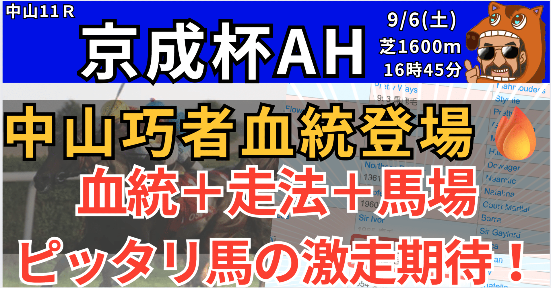9/6(土)中山11R 京成杯AH 血統予想🔥【15時45分発走】｜追い