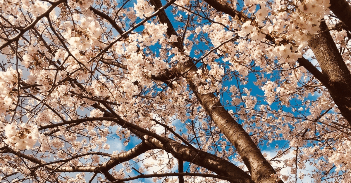 九州大学院 システム情報科学府 過去問(R8〜H23) 解答例 例