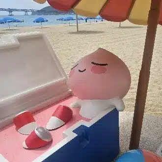 hina 韓国の日常