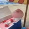 hina 韓国の日常