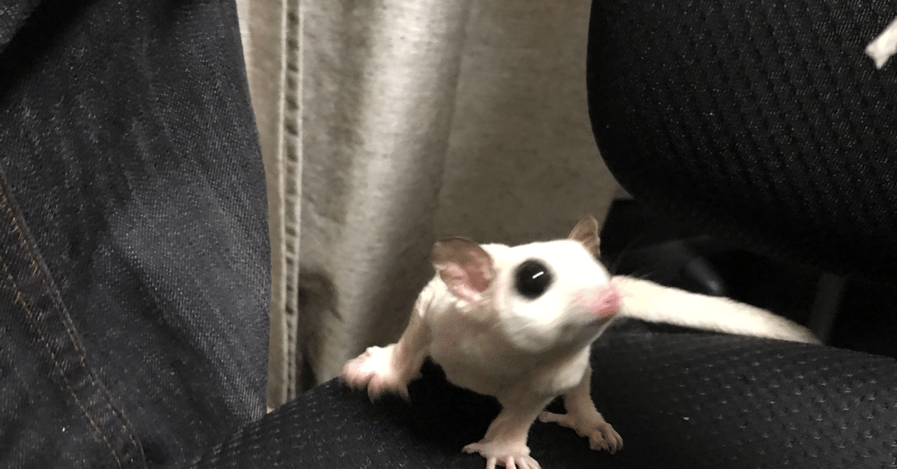 03 22のおはモモンガ ゲレ Note 03 22のおはモモンガ ゲレ Note