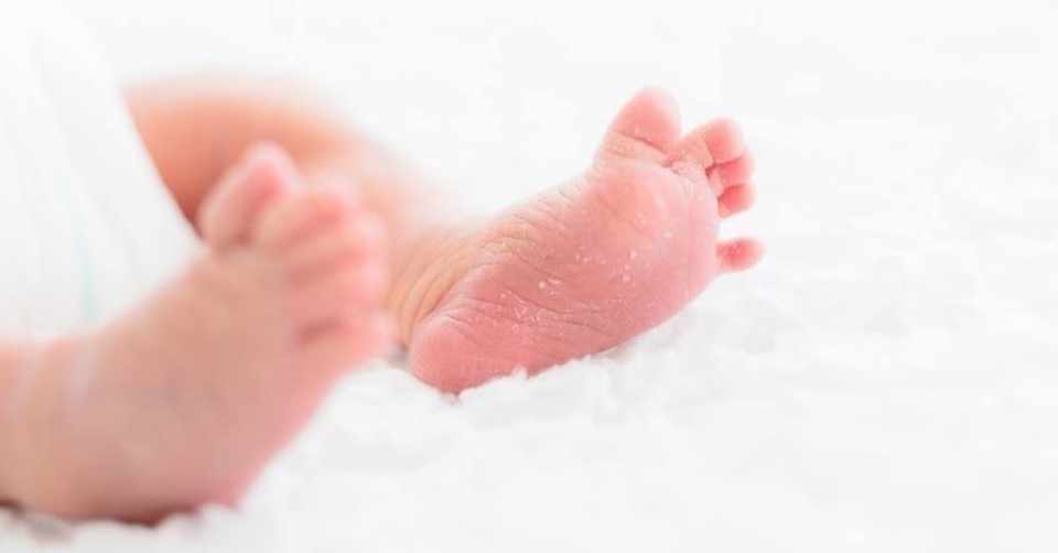 妊娠発覚後親になる実感がわかないパパがすべき3つのこと ねこパパ Note