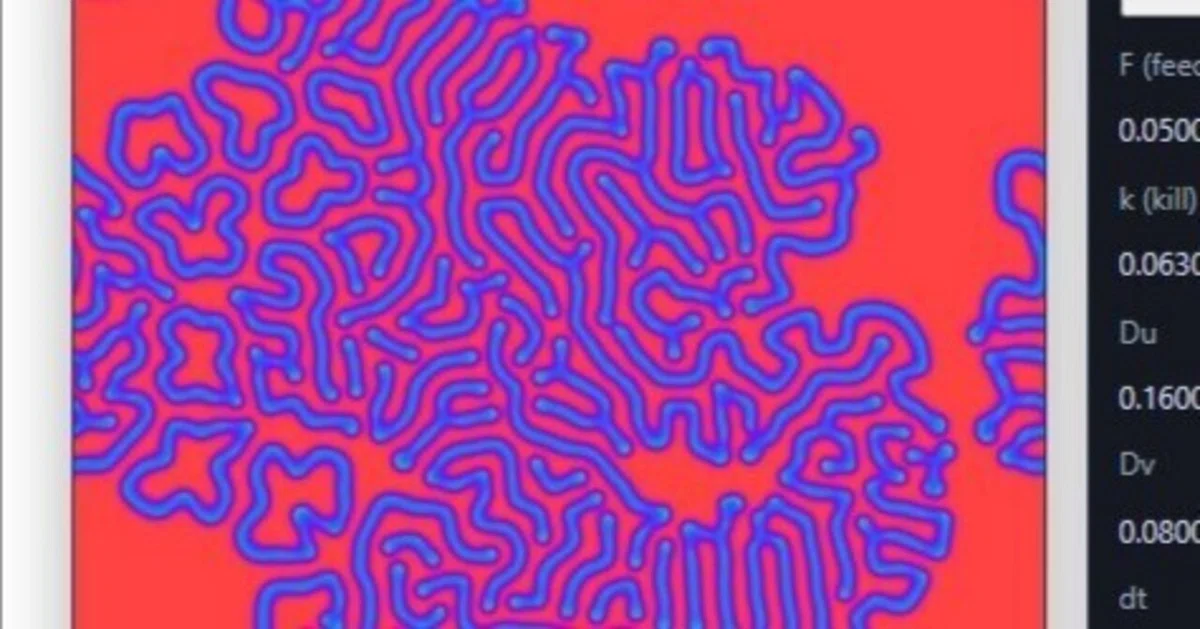 Reaction-diffusion (Gray–Scott) is a model where two concentration ...
