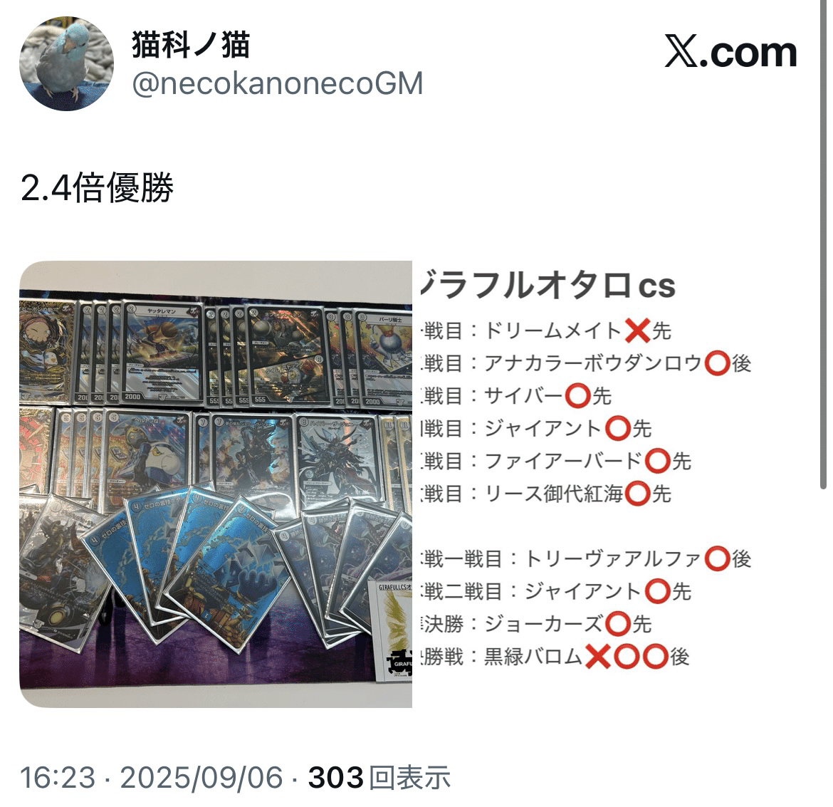 スリーブラインを目指して｜猫科ノ猫