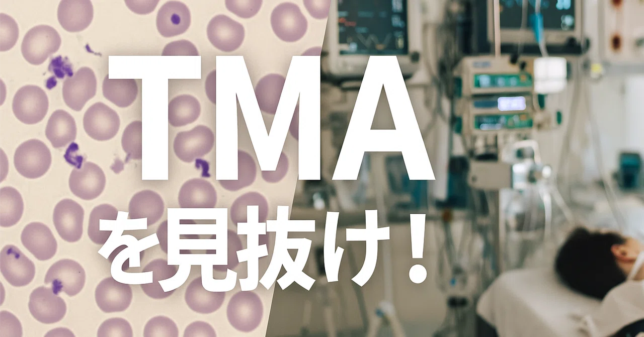 TMAって知ってる？〜知らないと恥ずかしすぎる内科医の常識No.15〜｜なんでもないか