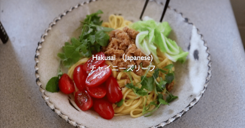 激うまヴィーガン料理 :すぐ出来て体と地球に優しいレシピ　#1 ダンダン麺