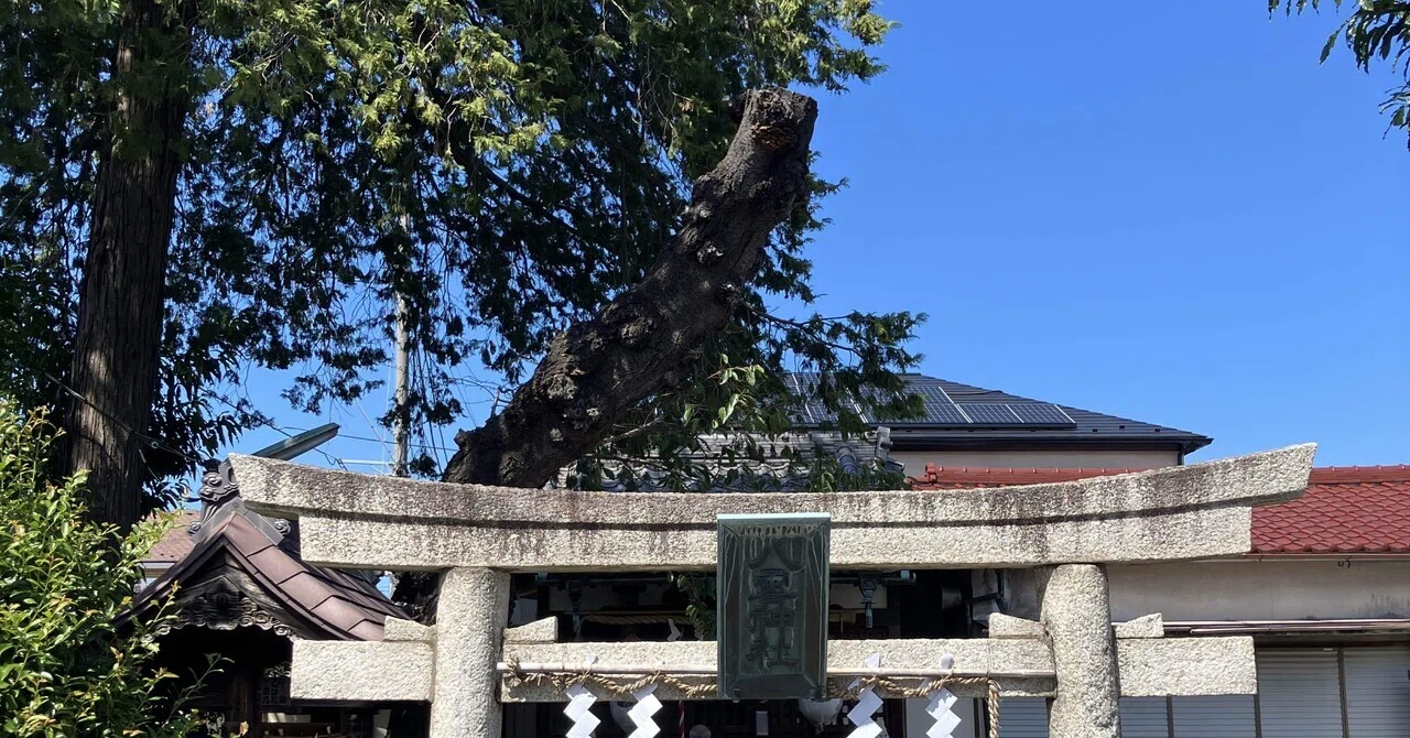 八雲神社⛩️ Yakumo Shrine｜Chubby from Nerima