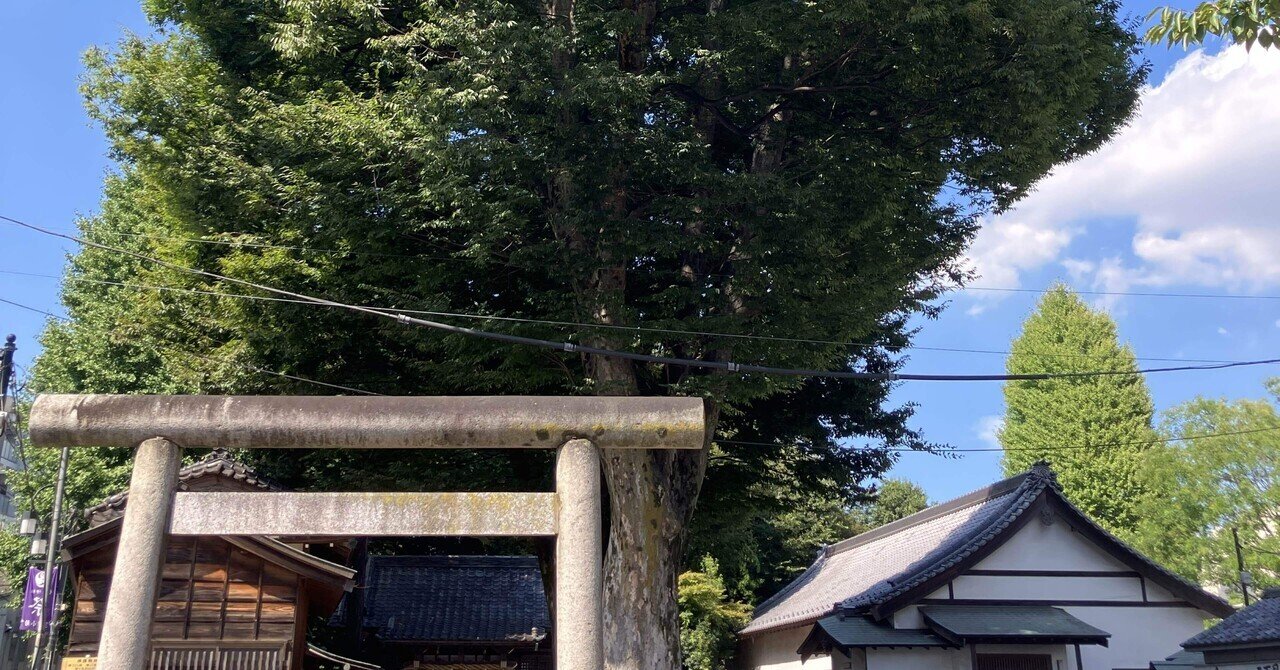 練馬の風景〜江古田浅間神社の欅 Scenery of Nerima 〜 A zelkova