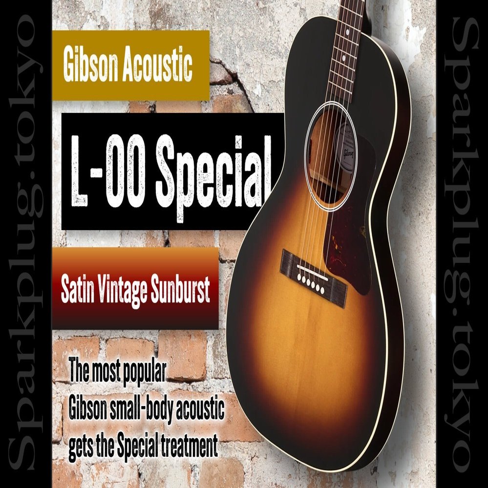 VSもあるぞ！ギブソン・スモールボディ・アコギの大定番「L-00」に渋い