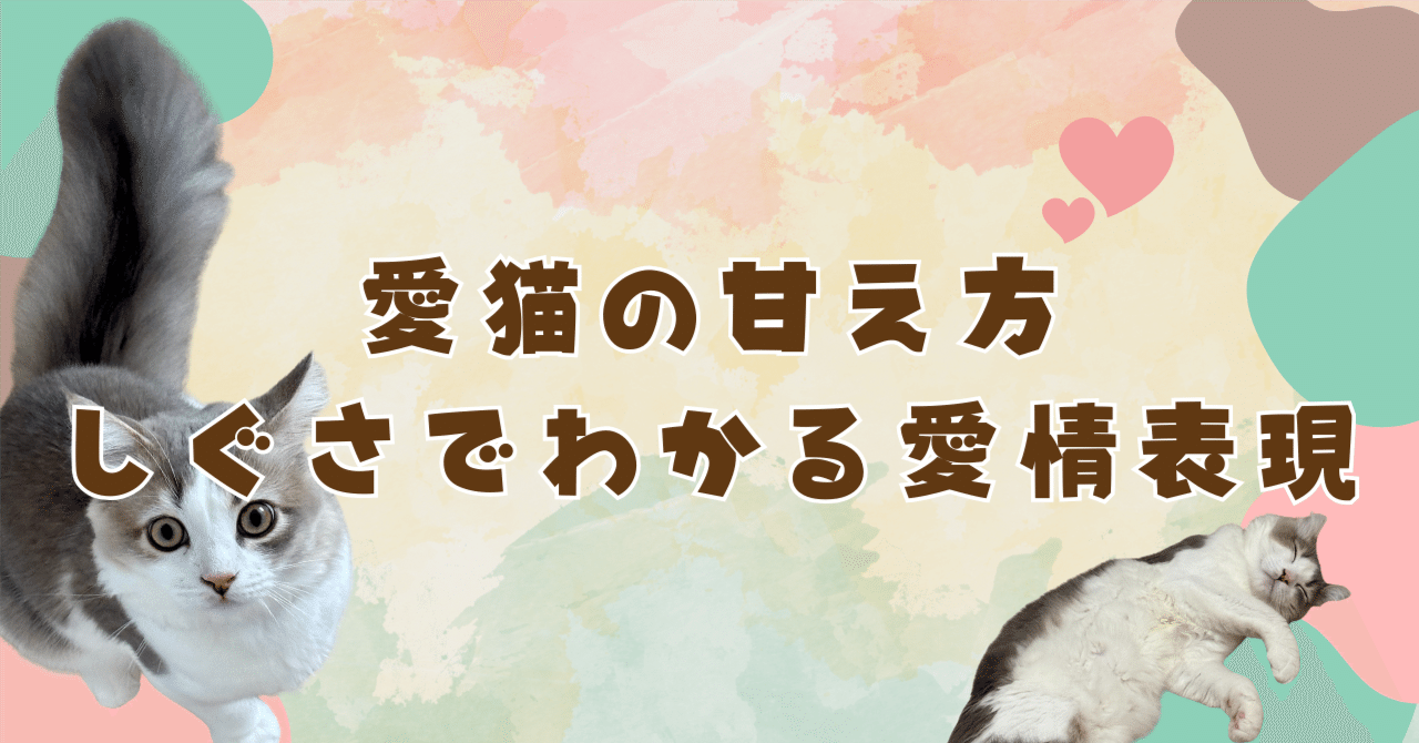 うちの愛猫の甘え方｜仕草やサインでわかる愛情表現｜tyu.pe_fuwaneko🐈愛猫と暮らし, image size:1280x670