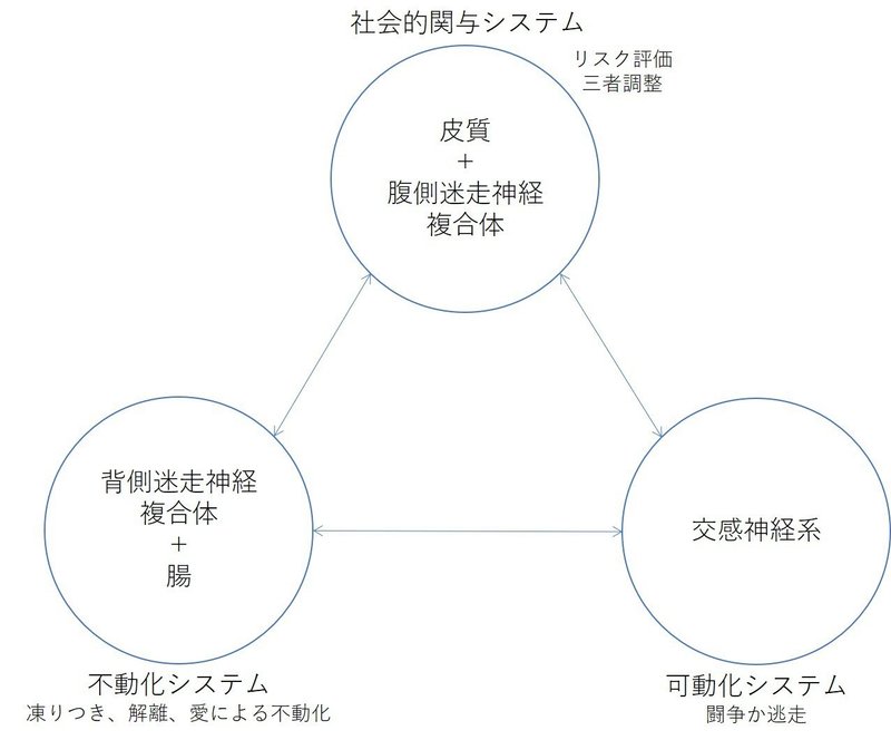 200128_ポリヴェーガル理論まとめ