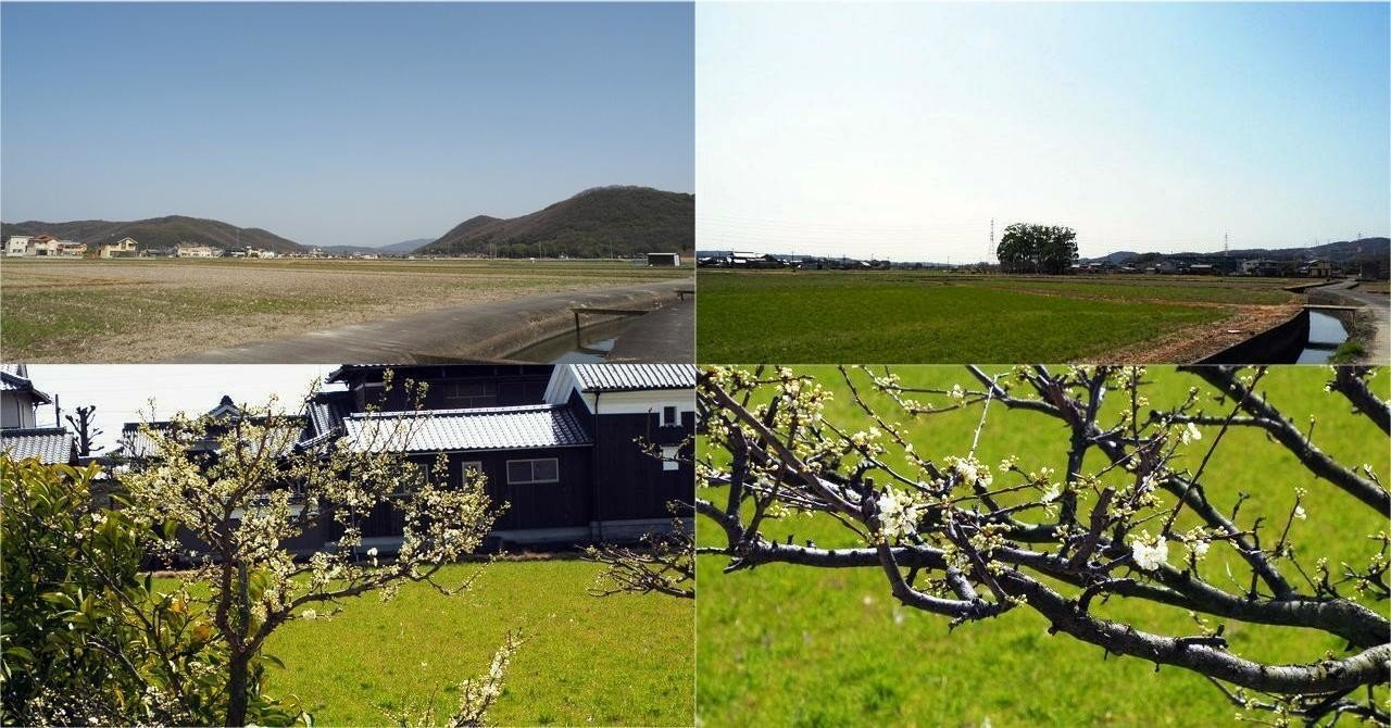 年3月22日 昨日の風景 田園風景 サクラサク Hana父 Note