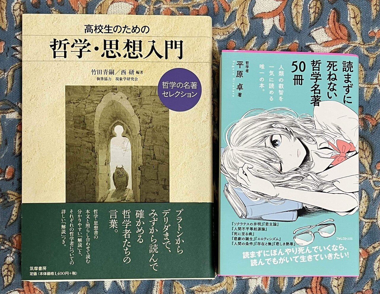 西洋哲学の行き詰まり｜カンナ