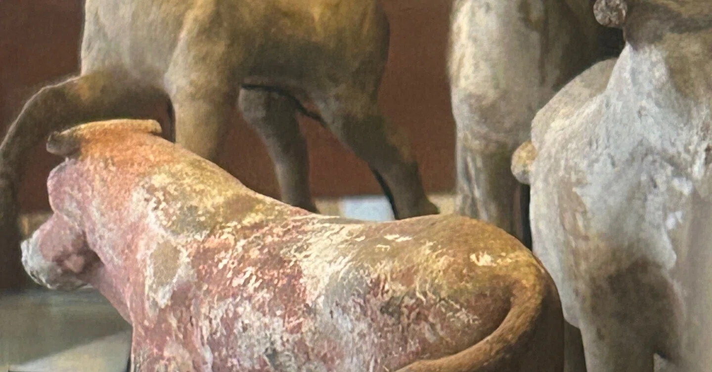 子供のためのルーブル美術館(217)埴輪の馬、おしりの穴はなぜ/古代 