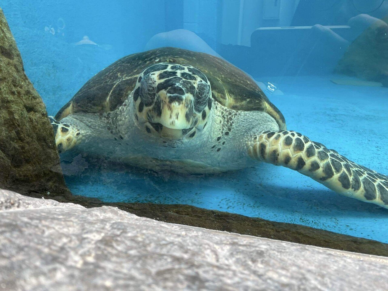 徳島、39歳1日目｜天野夏海